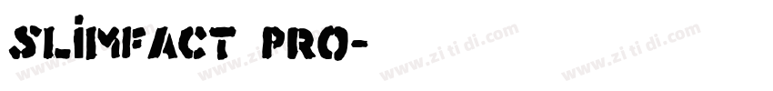 Slimfact Pro字体转换